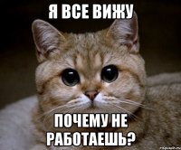 я все вижу почему не работаешь?