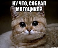 Ну что, собрал мотоцикл? 