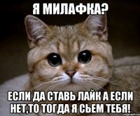 Я милафка? Если да ставь лайк а если нет,то тогда я сьем тебя!