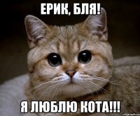 Ерик, бля! Я люблю кота!!!