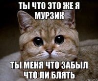 Ты что это же я мурзик Ты меня что забыл что ли блять