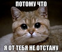 потому что я от тебя не отстану