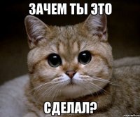 зачем ты это сделал?