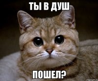 ты в душ пошел?