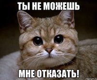 ты не можешь мне отказать!