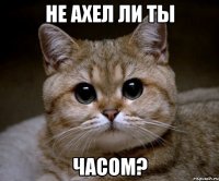 не ахел ли ты часом?