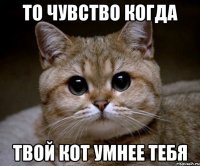 То чувство когда Твой кот умнее тебя