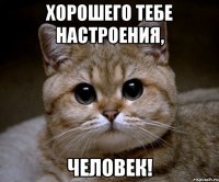 Хорошего тебе настроения, человек!