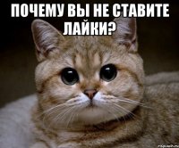 Почему вы не ставите лайки? 