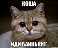 коша иди баиньки)*