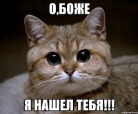 О,боже Я нашел тебя!!!