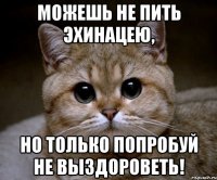 можешь не пить эхинацею, но только попробуй не выздороветь!