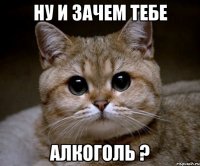 Ну и зачем тебе алкоголь ?