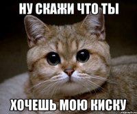 ну скажи что ты хочешь мою киску