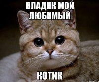 Владик мой любимый котик