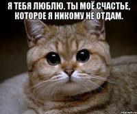 Я тебя люблю. Ты моё счастье, которое я никому не отдам. 