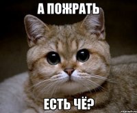 а пожрать есть чё?