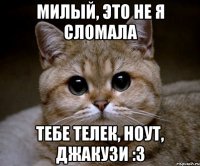 Милый, это не я сломала тебе телек, ноут, джакузи :3