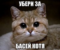 Убери за Басей котя