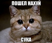 пошел нахуй сука