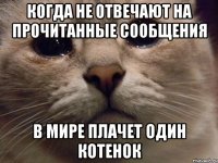 Когда не отвечают на прочитанные сообщения в мире плачет один котенок