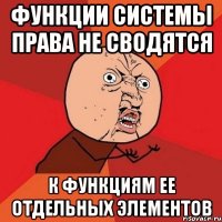 Функции системы права не сводятся к функциям ее отдельных элементов