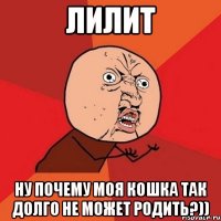 Лилит ну почему моя кошка так долго не может родить?))