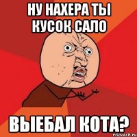 Ну Нахера ты кусок сало Выебал кота?