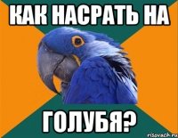 Как насрать на голубя?