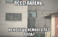 Пссс, парень.. Не хочешь немного Лес Пола?