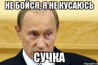 Не бойся, я не кусаюсь Сучка