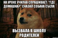 НА УРОКЕ УЧИЛКА СПРАШИВАЕТ: "ГДЕ ДОМАШКА?" СКАЗАЛ СОБАКА СЪЕЛА ВЫ3ВАЛА В ШКОЛУ РОДИТЕЛЕЙ