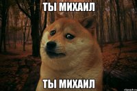 ты михаил ты михаил