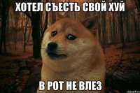 Хотел съесть свой хуй В рот не влез