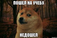 ПОШЕЛ НА УЧЕБУ НЕДОШЕЛ