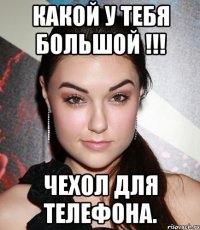 Какой у тебя большой !!! Чехол для телефона.