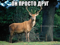 он просто друг 