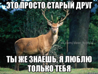 Это просто старый друг Ты же знаешь, я люблю только тебя