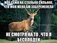 МОЁ СЕМЯ НА СТОЛЬКО СИЛЬНОЕ, ЧТО МОЯ ЖЕНА АЖ ЗАБЕРЕМЕНЕЛА НЕ СМОТРЯ НА ТО , ЧТО Я БЕСПЛОДЕН