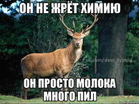 он не жрёт химию он просто молока много пил