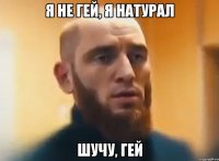 Я НЕ ГЕЙ, Я НАТУРАЛ ШУЧУ, ГЕЙ