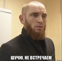  шучю, не встречаем