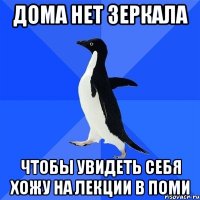 дома нет зеркала чтобы увидеть себя хожу на лекции в ПОМИ