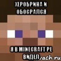 ХЕРОБРИНА И ОБОСРАЛСЯ я в minecraft pe видел