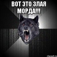 вот это злая морда!!! 