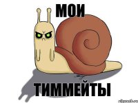 мои тиммейты