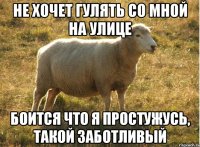 Не хочет гулять со мной на улице Боится что я простужусь, такой заботливый