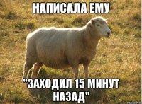 написала ему "заходил 15 минут назад"