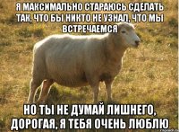 Я МАКСИМАЛЬНО СТАРАЮСЬ СДЕЛАТЬ ТАК, ЧТО БЫ НИКТО НЕ УЗНАЛ, ЧТО МЫ ВСТРЕЧАЕМСЯ НО ТЫ НЕ ДУМАЙ ЛИШНЕГО, ДОРОГАЯ, Я ТЕБЯ ОЧЕНЬ ЛЮБЛЮ