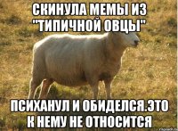 скинула мемы из "типичной овцы" психанул и обиделся.Это к нему не относится